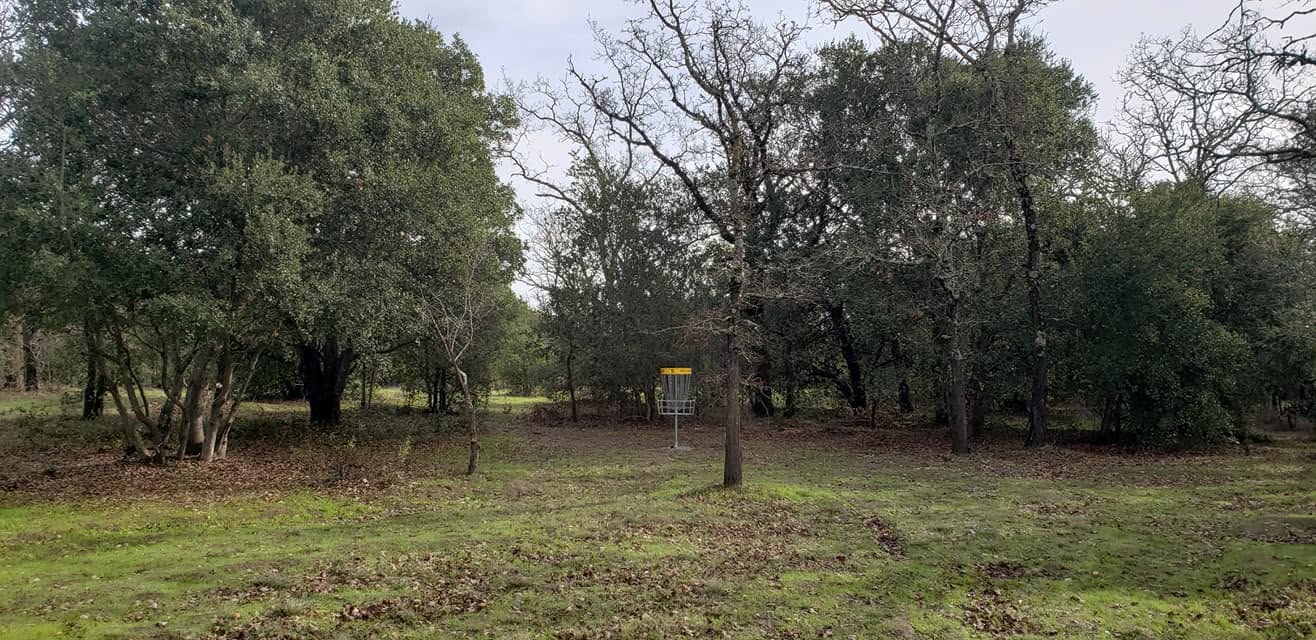 Disc golfer throwing at Rosa Park